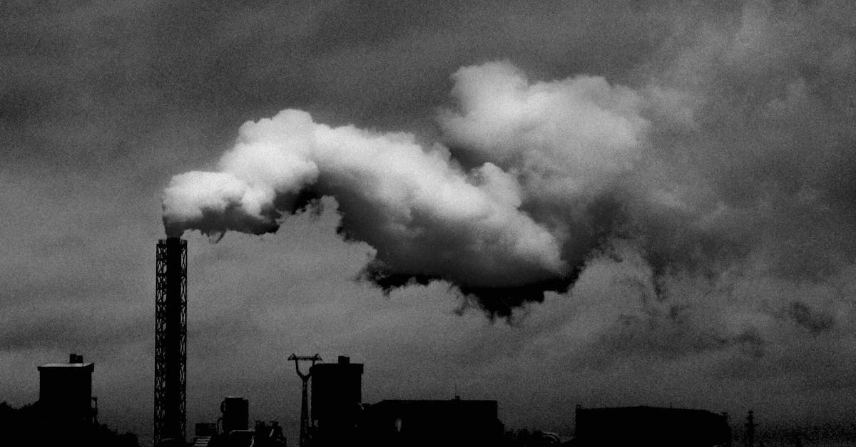 découvrez tout sur l'empreinte carbone : qu'est-ce que c'est, comment la mesurer et des conseils pratiques pour la réduire. agissez pour un avenir plus durable et apprenez des stratégies pour diminuer votre impact environnemental.