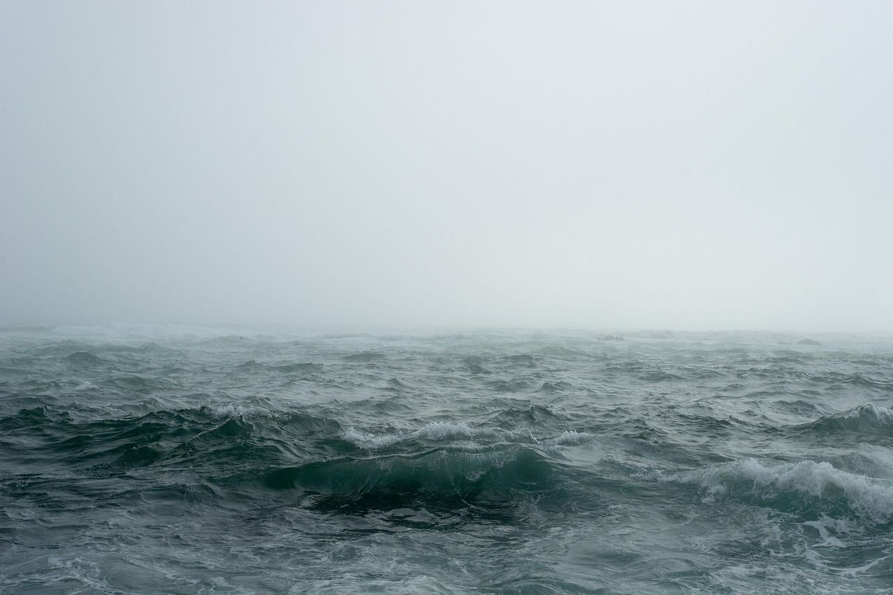 découvrez la beauté infinie de l'océan, un univers fascinant où la nature se déploie en vastes étendues d'eau, abritant une biodiversité unique et offrant des paysages à couper le souffle.
