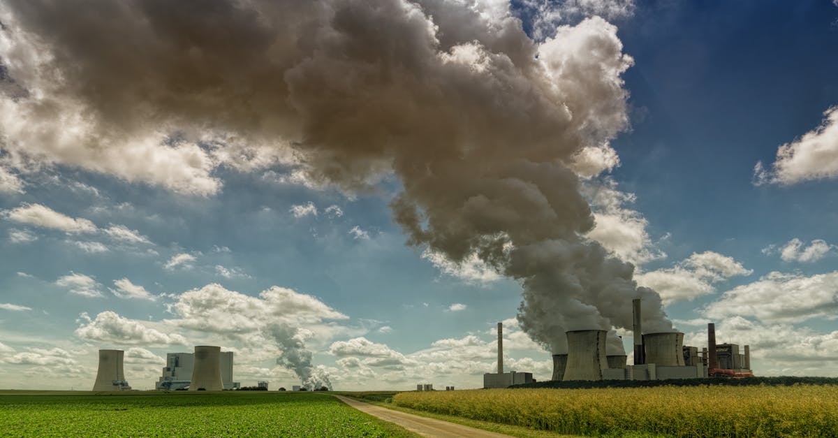 découvrez l'impact de la pollution sur notre planète et notre santé. explorez les différentes formes de pollution, ses causes, ses conséquences et les solutions pour un avenir plus sain et durable.