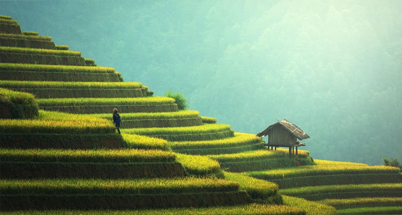 découvrez comment la green growth favorise une économie durable, alliant développement économique et respect de l'environnement grâce à des solutions innovantes et responsables.