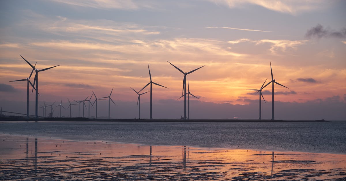 découvrez l'énergie éolienne, une source d'énergie renouvelable et durable qui utilise la force du vent pour produire de l'électricité. apprenez-en plus sur ses avantages, son fonctionnement et son rôle dans la transition énergétique.