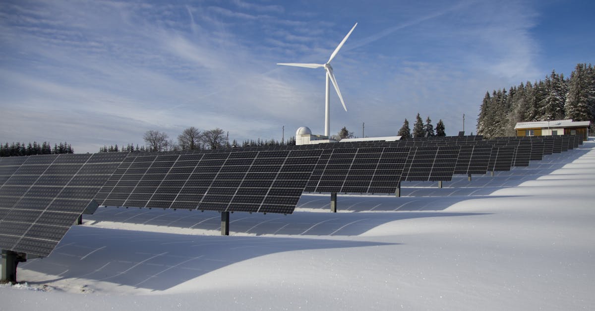 découvrez comment adopter des pratiques durables pour préserver notre planète. explorez des conseils, des initiatives écologiques et des solutions innovantes pour une vie plus respectueuse de l'environnement.