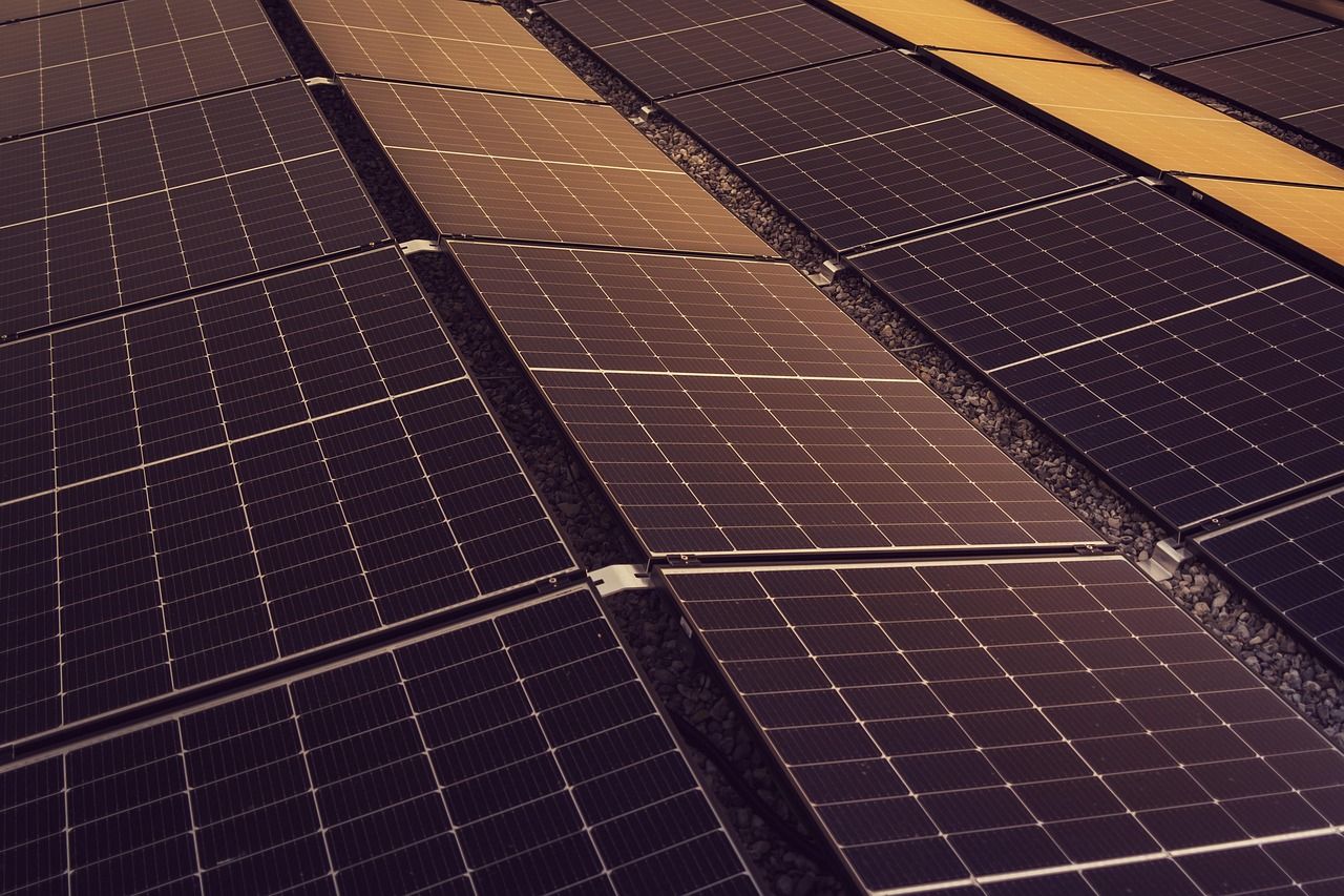 découvrez comment adopter des pratiques durables au quotidien pour préserver l’environnement, améliorer votre qualité de vie et contribuer à un avenir plus responsable grâce à des conseils et solutions sur la sustainability.