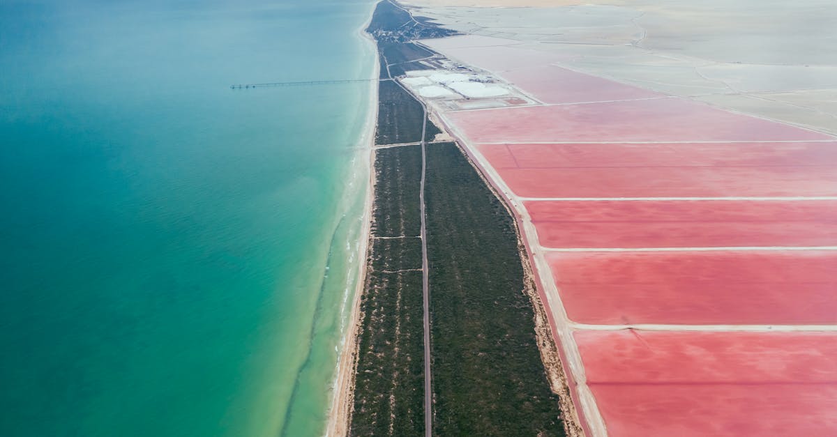 découvrez l'écologie industrielle, une approche innovante visant à optimiser les processus industriels tout en réduisant les impacts environnementaux. apprenez comment les entreprises peuvent adopter des pratiques durables, recycler les ressources et créer des synergies pour un avenir plus vert.