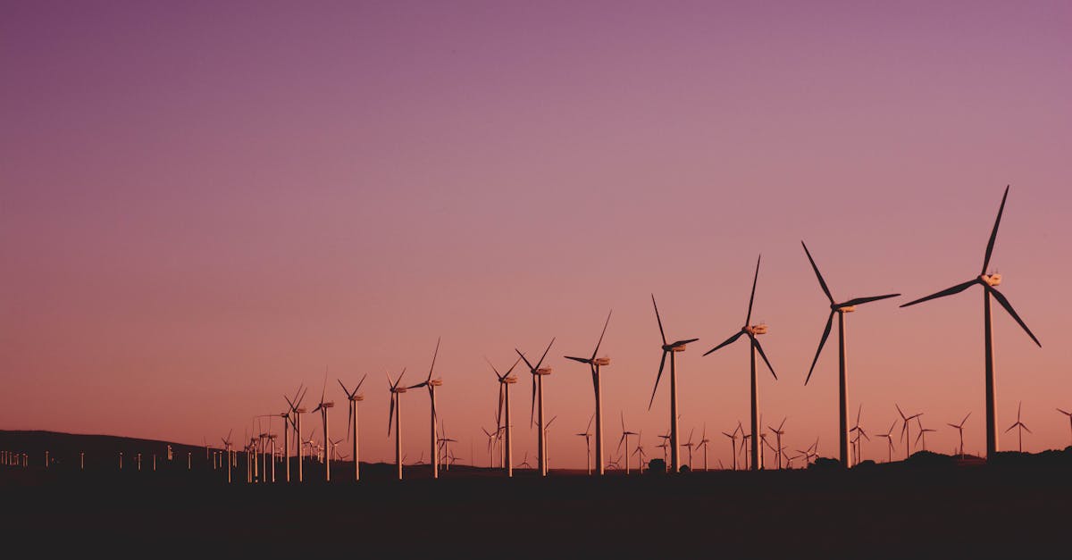 découvrez comment la durabilité façonne notre avenir, favorise une économie circulaire et préserve notre planète. explorez des solutions innovantes et des pratiques écoresponsables pour un monde plus vert.