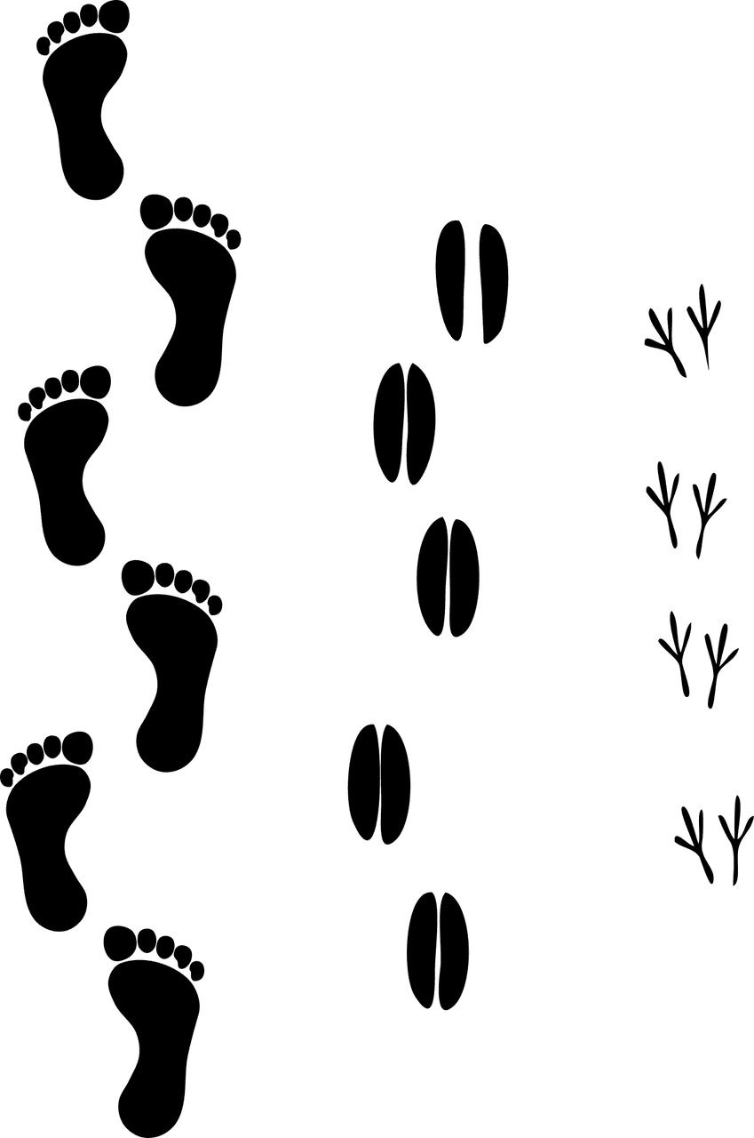 évaluez l'empreinte carbone de votre entreprise avec notre guide complet. découvrez des méthodes efficaces pour mesurer et réduire votre impact environnemental tout en améliorant votre image de marque et votre responsabilité sociale.