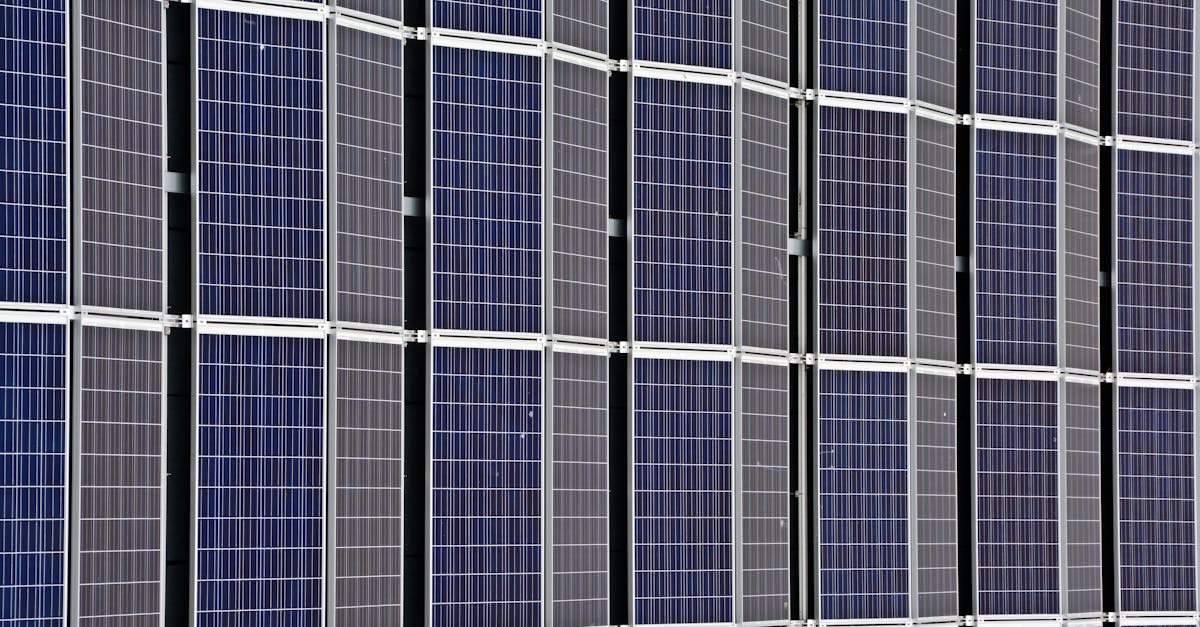 découvrez l'importance de la durabilité et comment elle façonne notre avenir. explorez des pratiques écologiques, des innovations vertes et des solutions durables pour préserver notre planète pour les générations futures.