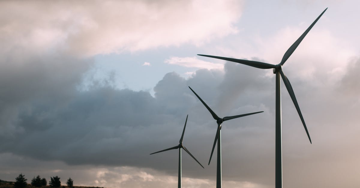 découvrez les principes du développement durable et son impact sur l'environnement, l'économie et la société. apprenez comment adopter des pratiques écoresponsables pour un avenir plus vert.