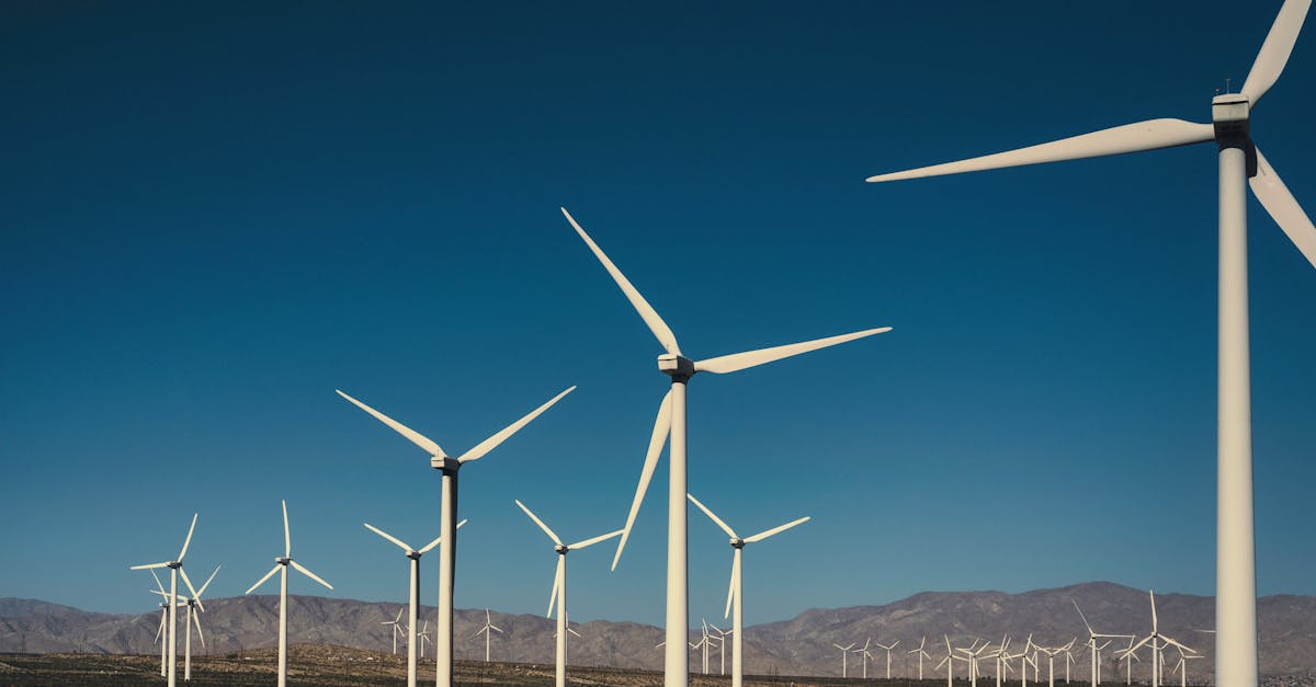 découvrez tout ce que vous devez savoir sur l'empreinte carbone, son impact sur l'environnement et des conseils pratiques pour la réduire au quotidien. adoptez des gestes écologiques et contribuez à la lutte contre le changement climatique.