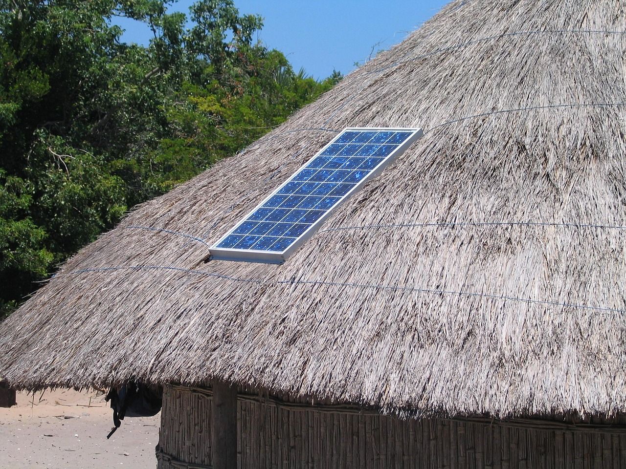découvrez des alternatives durables pour un mode de vie respectueux de l'environnement et contribuez à la préservation de la planète.