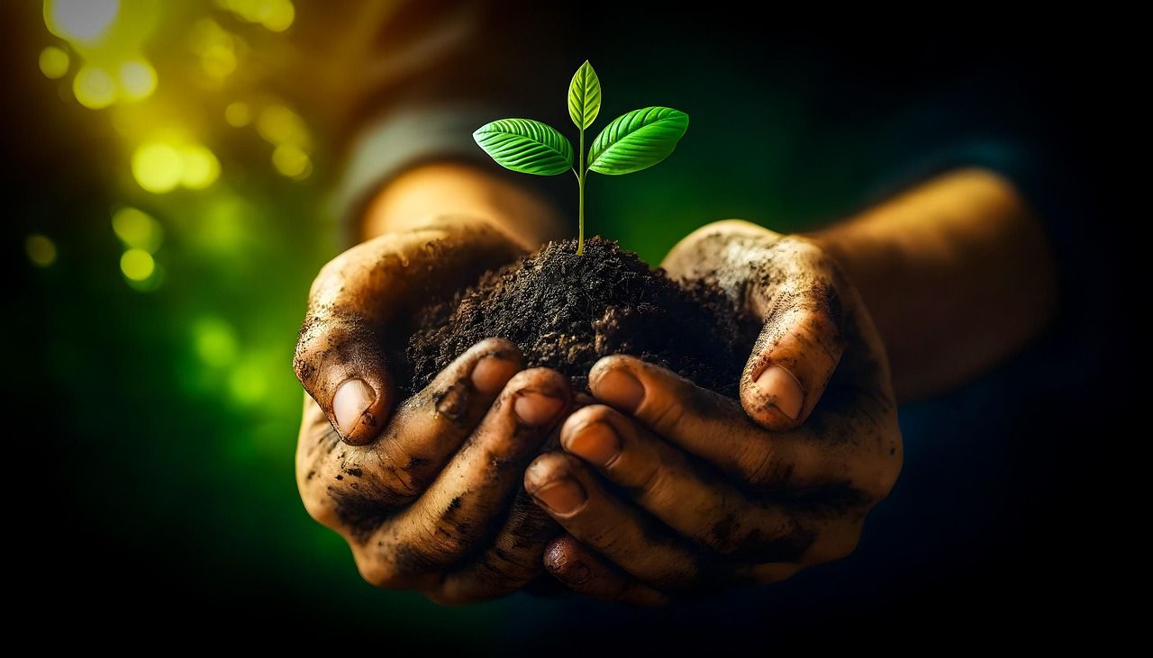 découvrez nos initiatives et conseils pour adopter un mode de vie durable et respectueux de l'environnement, alliant innovation et responsabilité.