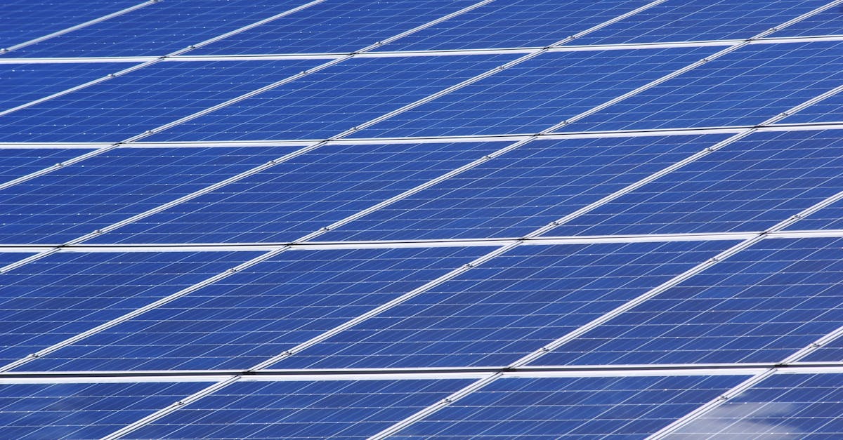 découvrez l'importance des ressources renouvelables pour un avenir durable. apprenez comment elles contribuent à la réduction des émissions de carbone et à la préservation de notre planète.