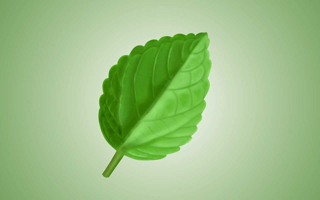 découvrez un mode de vie éco-responsable avec nos conseils pratiques, astuces et produits éco-friendly. adoptez des habitudes durables pour préserver notre planète tout en améliorant votre quotidien.