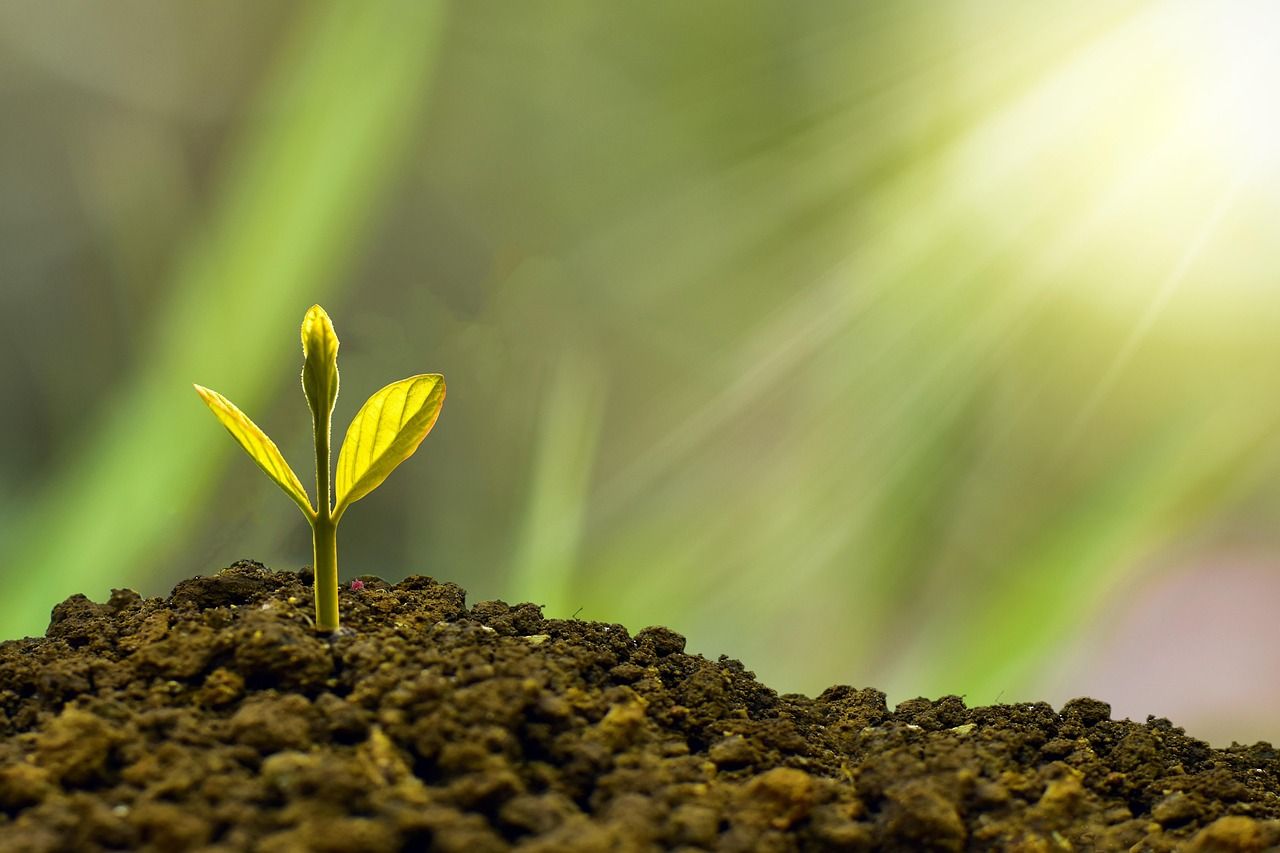 découvrez comment l'économie bas-carbone favorise la croissance durable en réduisant les émissions de co2 grâce à l'innovation, aux énergies propres et à des pratiques responsables.