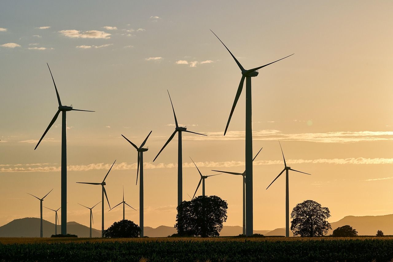 découvrez comment un système alimentaire durable favorise la production responsable, la préservation de l'environnement et la sécurité alimentaire pour les générations futures.