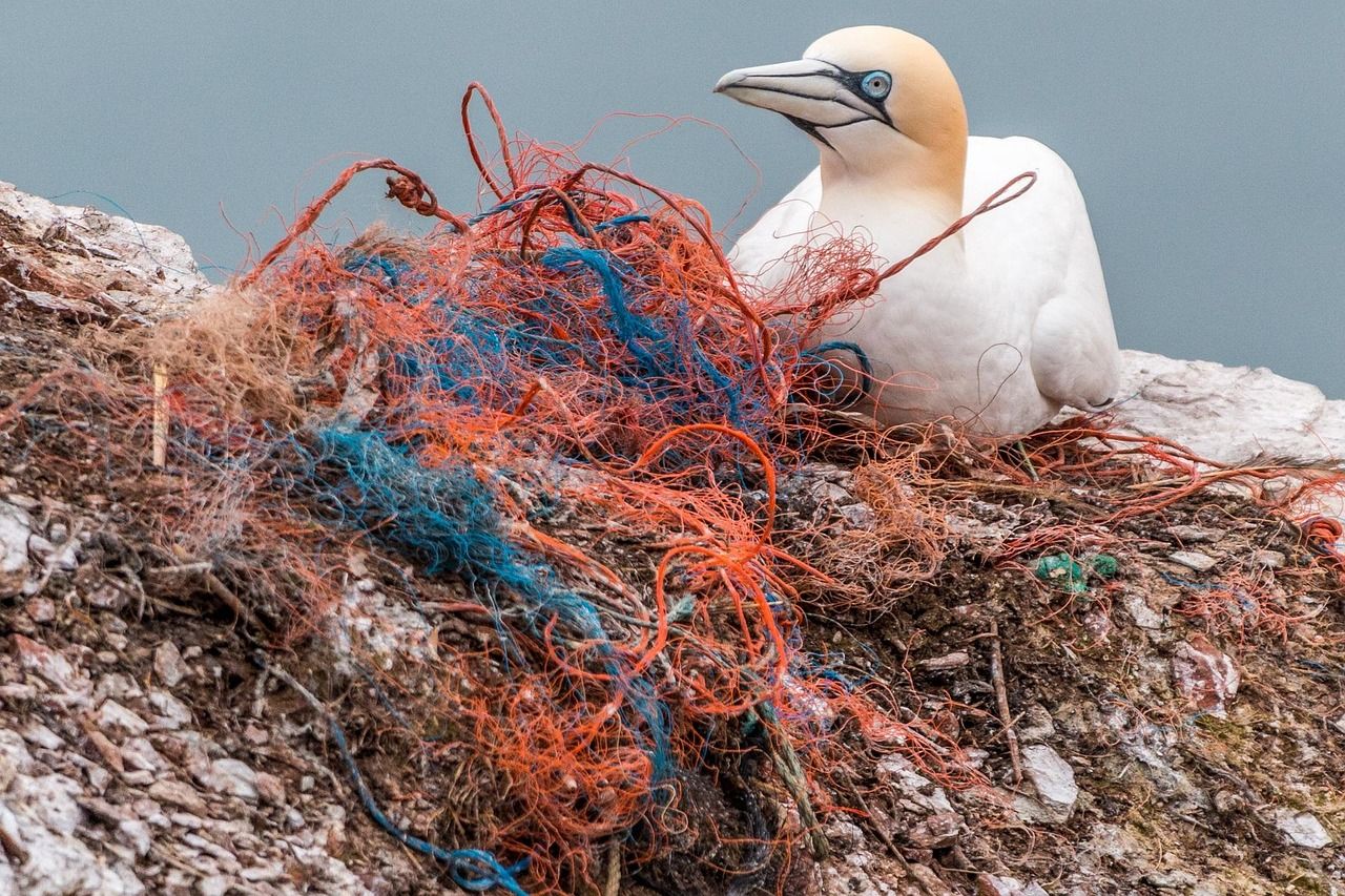 découvrez ce qu'est la pollution numérique, ses impacts environnementaux et les solutions pour réduire l'empreinte écologique liée à l'utilisation des technologies digitales.