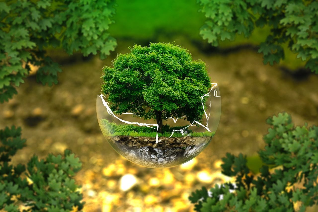découvrez l'impact environnemental, ses enjeux et solutions pour préserver la planète. analyse des effets des activités humaines sur l’environnement et conseils pour réduire votre empreinte écologique.