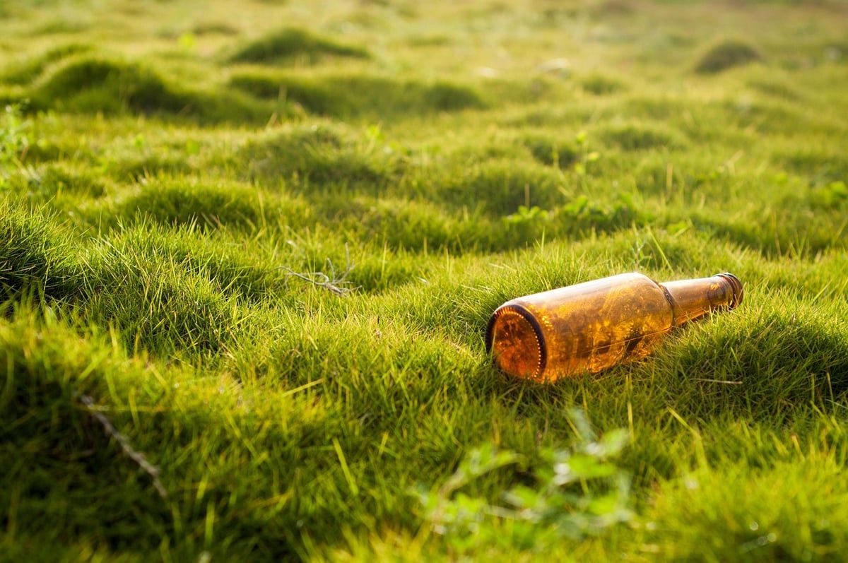 L’IA générative : Quel est le véritable impact écologique d’une simple requête ?
