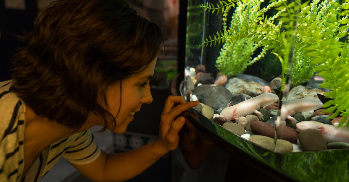 Stratégies éducatives environnementales : Comment sensibiliser les jeunes à la protection de la planète