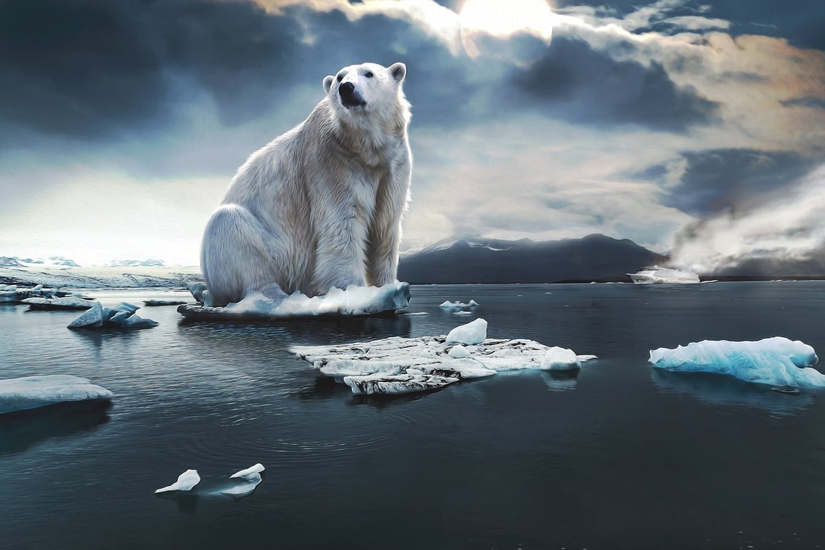 Changements climatiques : quelles actions collectives pour agir ?