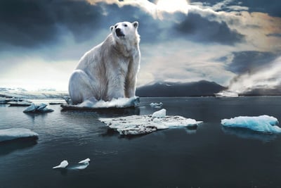 Changements climatiques : quelles actions collectives pour agir ?