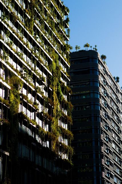 Sport et développement durable : cap sur une industrie éco-responsable et engagée