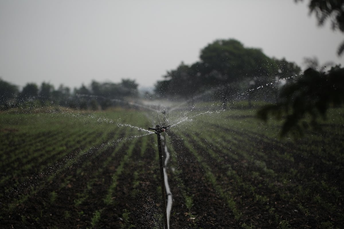 Économie d’eau dans la salle de bain : astuces et solutions pour réduire sa consommation au quotidien