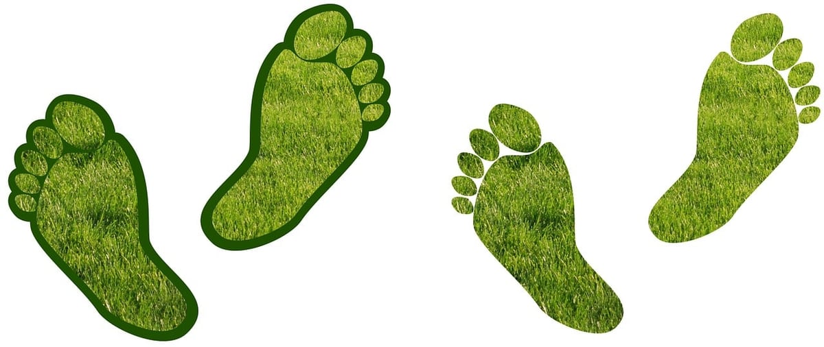 Les partenariats pour optimiser les bilans carbone