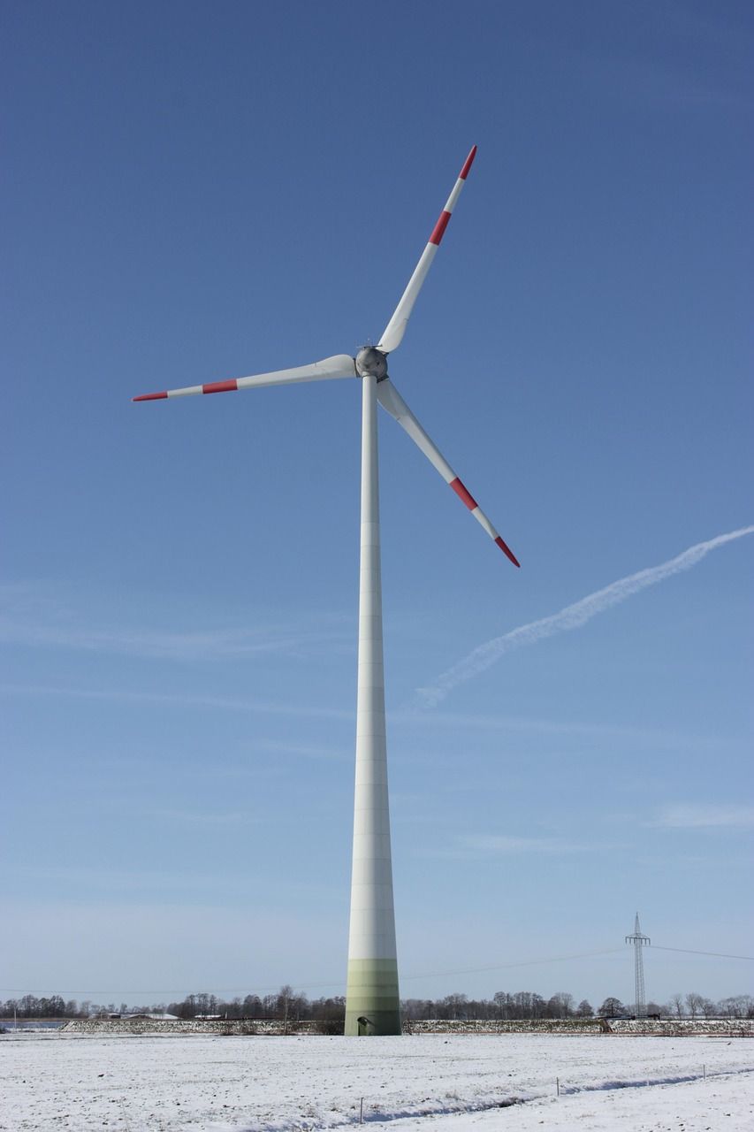 Vers une entreprise durable : enjeux et stratégies pour atteindre la neutralité carbone