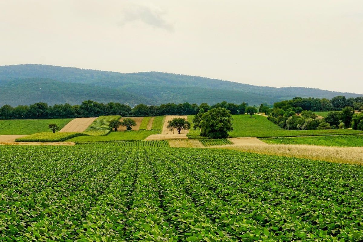 À l’épreuve des crises : construire l’avenir de l’agriculture ensemble