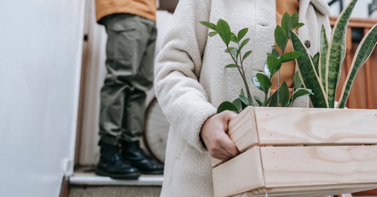 Présent et futur durable : Vers une transition écologique inévitable