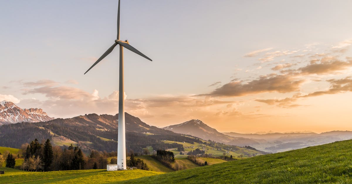 Développement durable : les nouvelles initiatives pour un avenir responsable