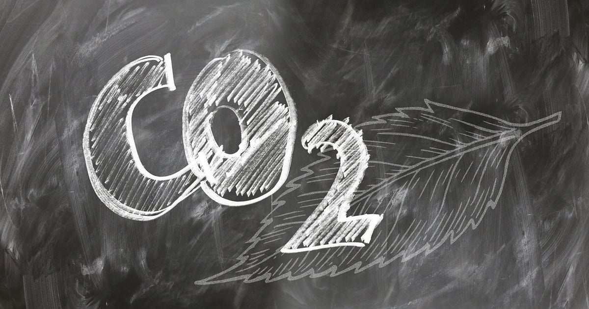 Neuf entreprises de taille intermédiaire sur dix s’engagent dans la transition écologique en effectuant un bilan carbone